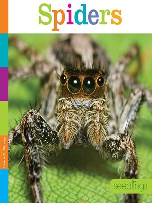 cover image of Spiders